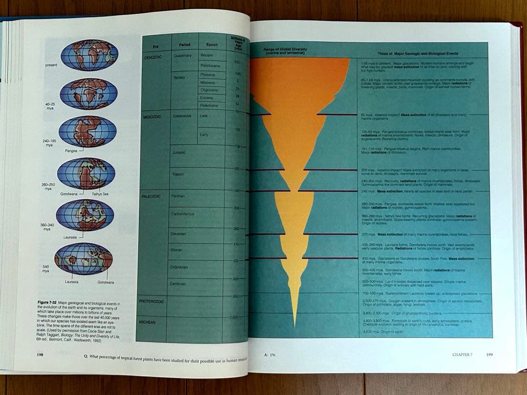 洋書 LIVING IN THE ENVIRONMENT G.Tyler Miller