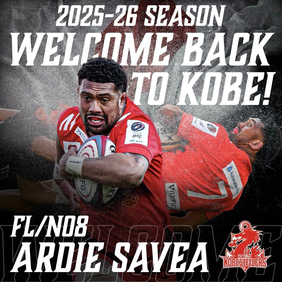 オーセンティックジャージ　アクスタ　フランカー　アーディサベア　ラグビー