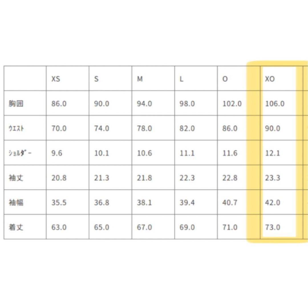 オーセンティックジャージ　アクスタ　フランカー　アーディサベア　ラグビー