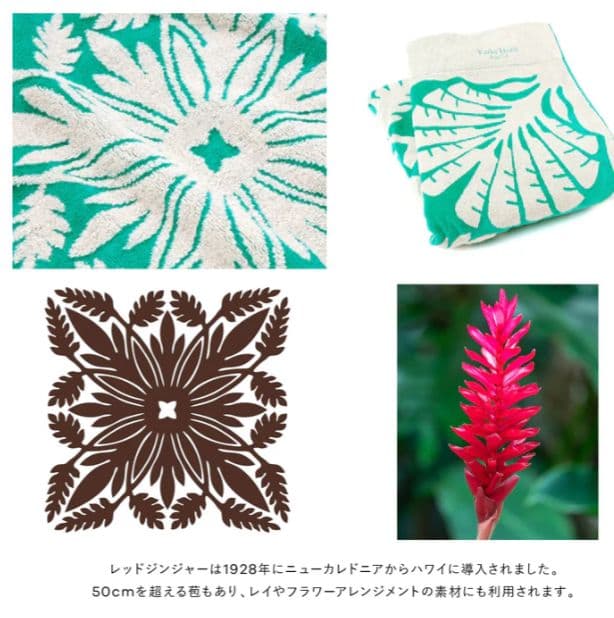 キャシーマムタオルケット&バスタオルセット ノヘアシリーズ