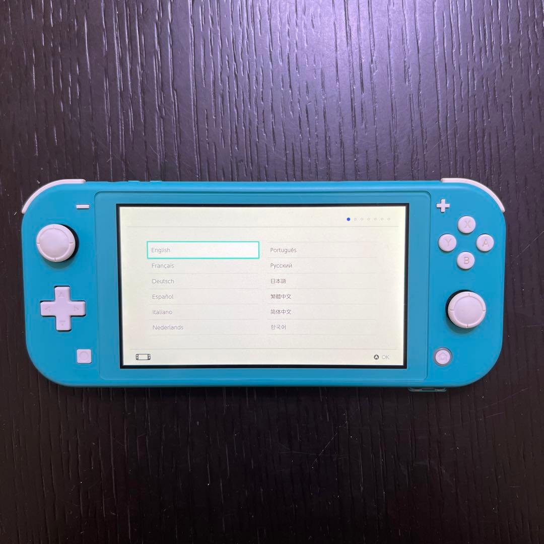 Nintendo Switch Lite SDカード、電源アダプター、ケース付き