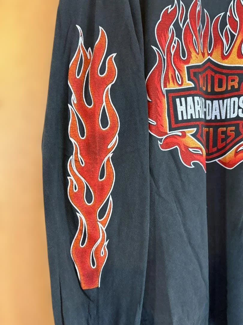 ハーレーダビットソン Harley-Davidson フレイム ロンT XL 黒