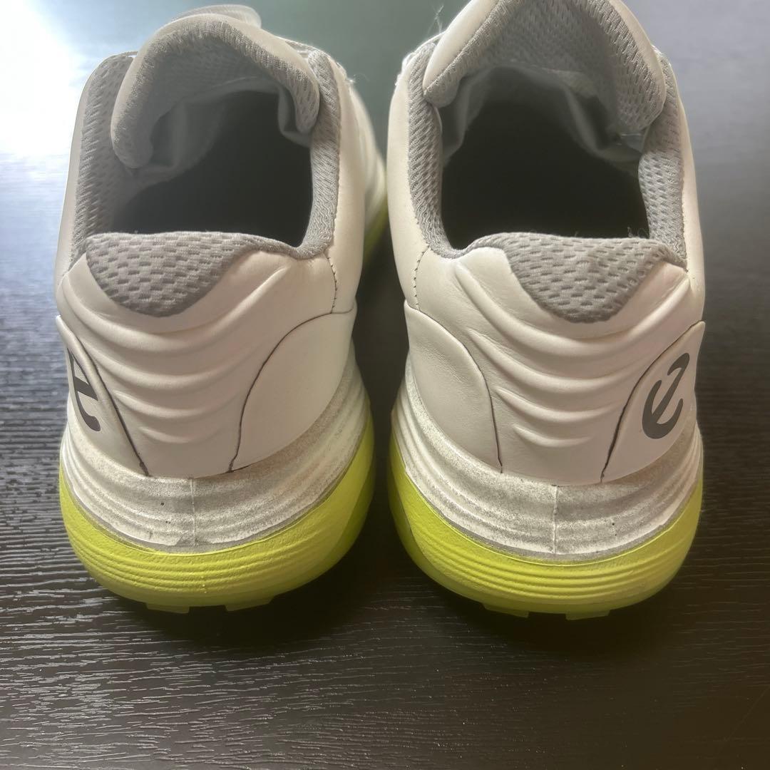 ECHOゴルフ エルティーワン BOAダイヤルシステム ホワイト/グリーン