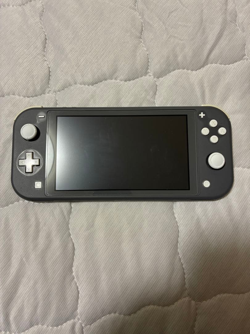 スイッチライト　グレー