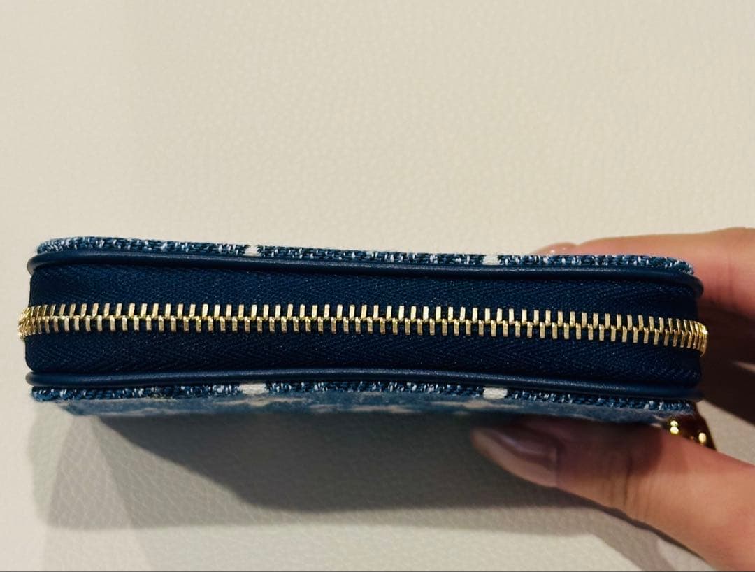 Louis Vuitton ヴィトン モノグラム デニム ケース ジッピー