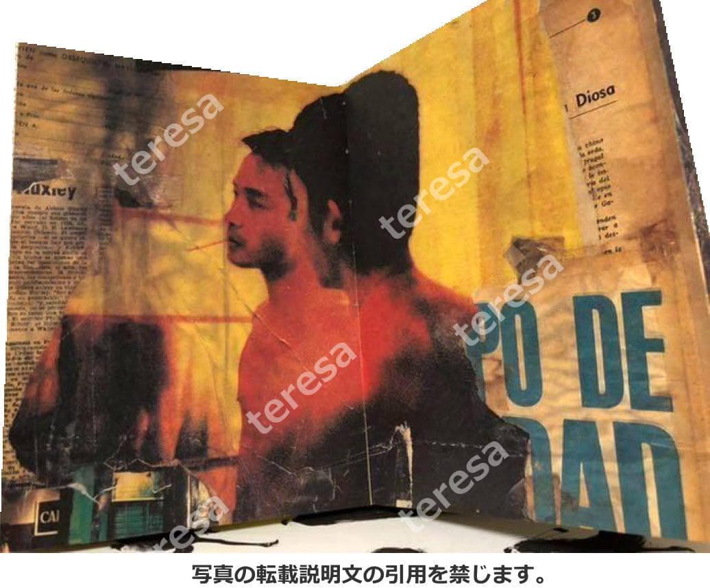 未開封新品　春光乍洩ブエノスアイレス写真集　レスリー・チャン/トニー・レオン