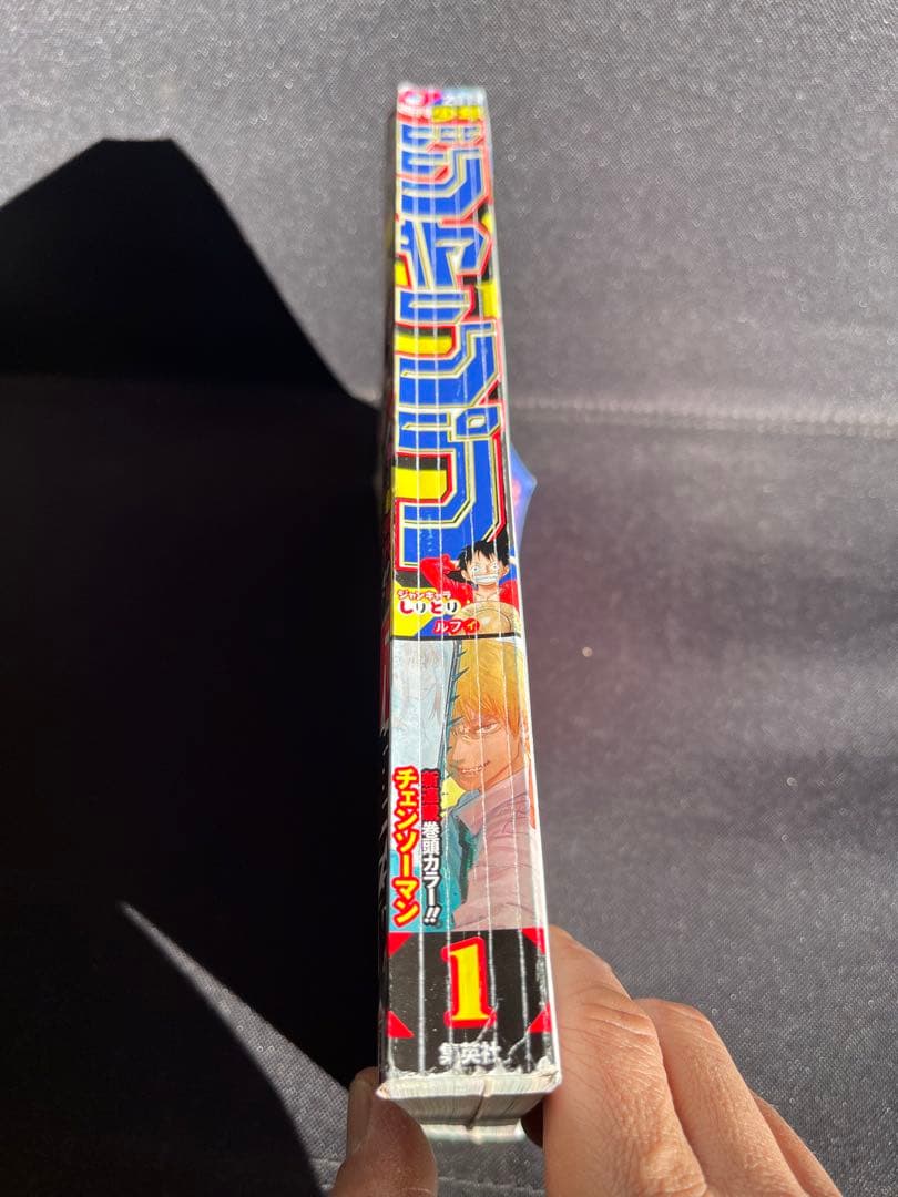 週刊 少年 ジャンプ 2019年 1号 新連載 チェンソーマン