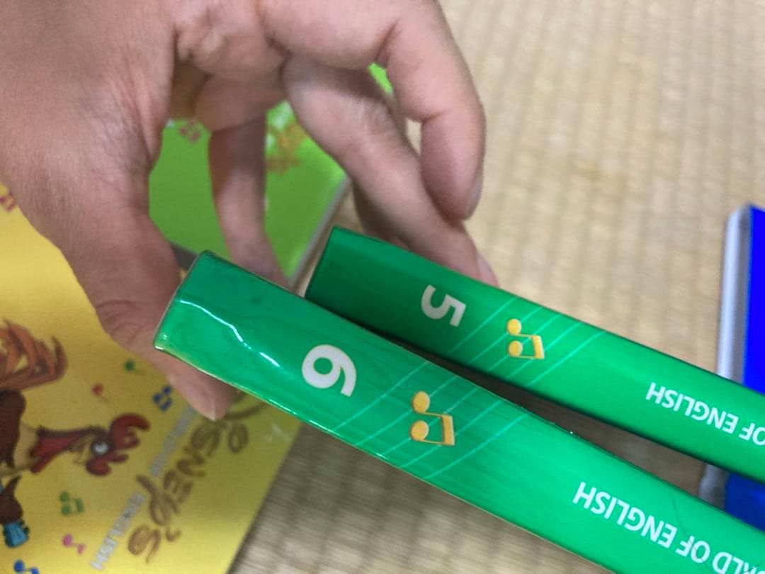 DWE シングアロング　DVD 12枚