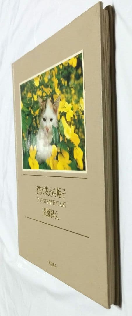 深瀬昌久　猫の麦わら帽子 THE STRAW HAT CAT