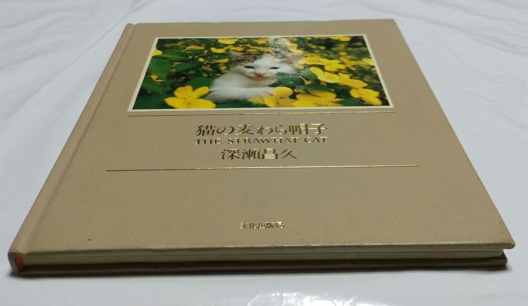 深瀬昌久　猫の麦わら帽子 THE STRAW HAT CAT