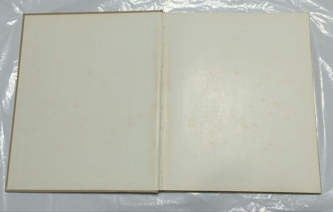 深瀬昌久　猫の麦わら帽子 THE STRAW HAT CAT