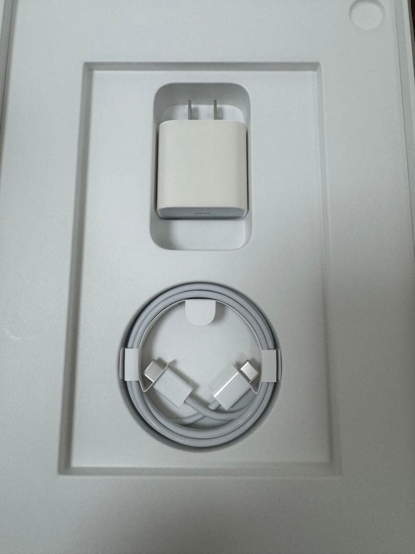 iPad Pro 11-inch (第1世代) Wi-Fi + Cellular