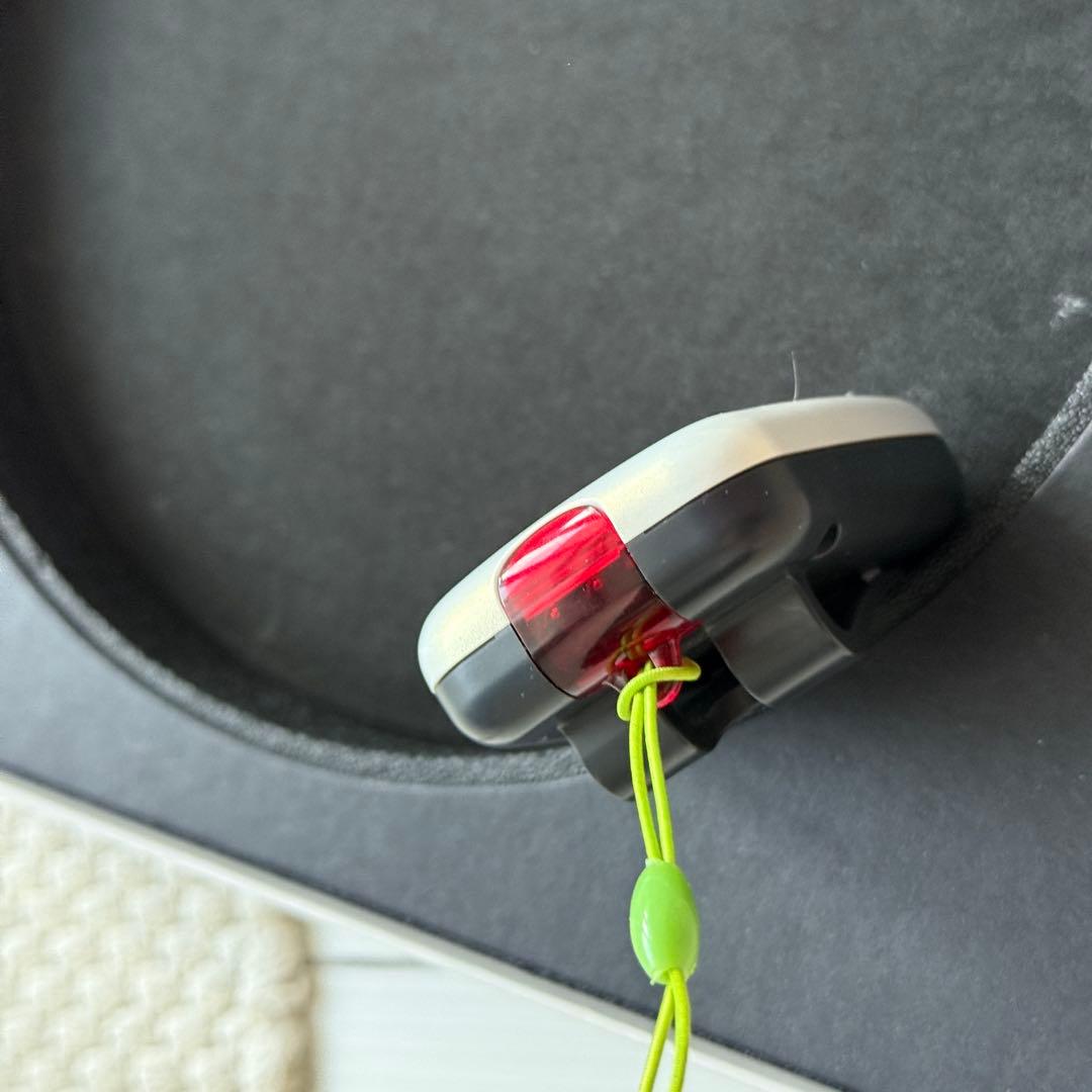 希少美品ポケットピカチュウカラー 金・銀といっしょ ポケモンセンター限定