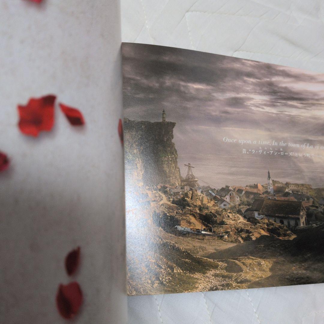 アシッドブラックチェリー L LIVEDVD 本　映画DVD　パンフレットセット