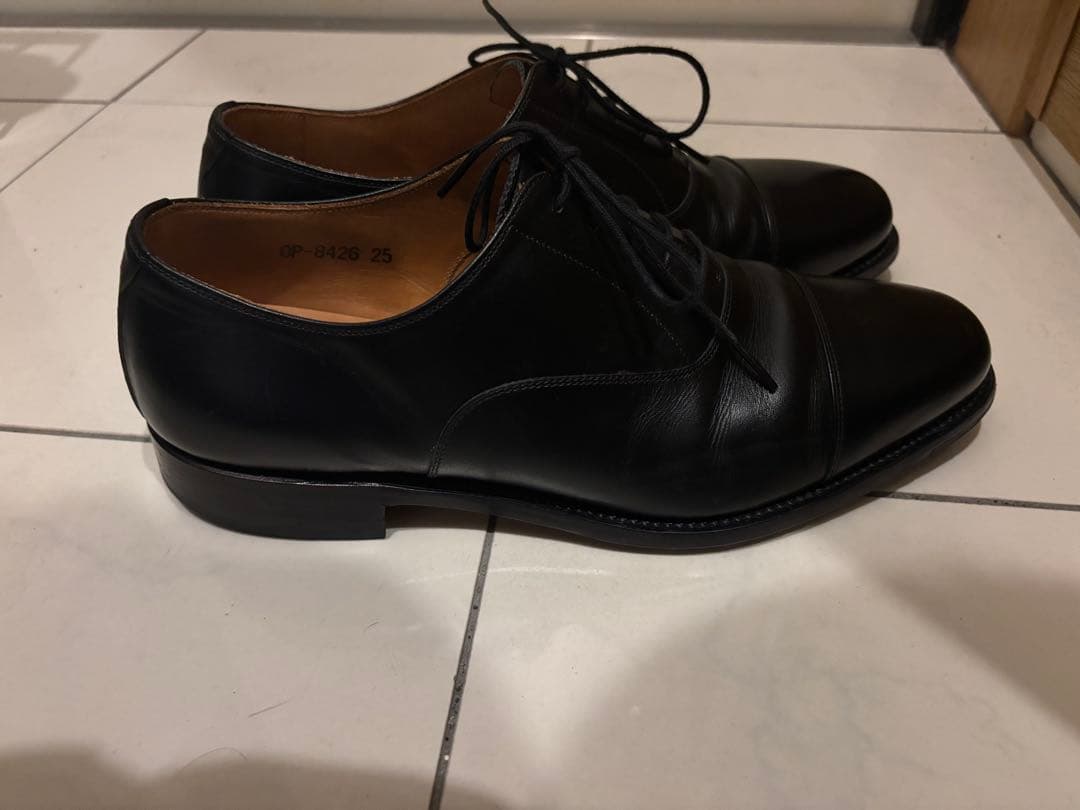 [スコッチグレイン] SCOTCH GRAIN ストレートチップ 25.0 3E