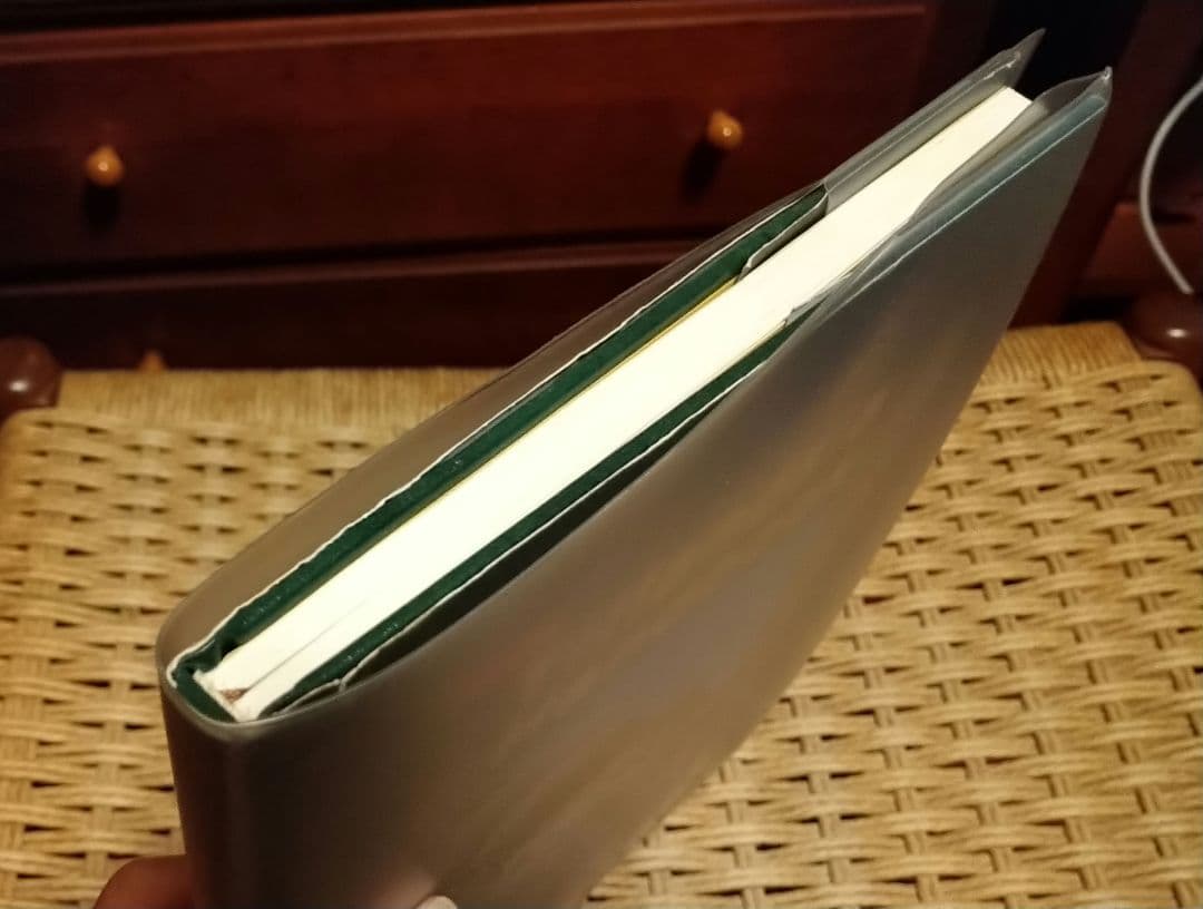 ティランジアハンドブック