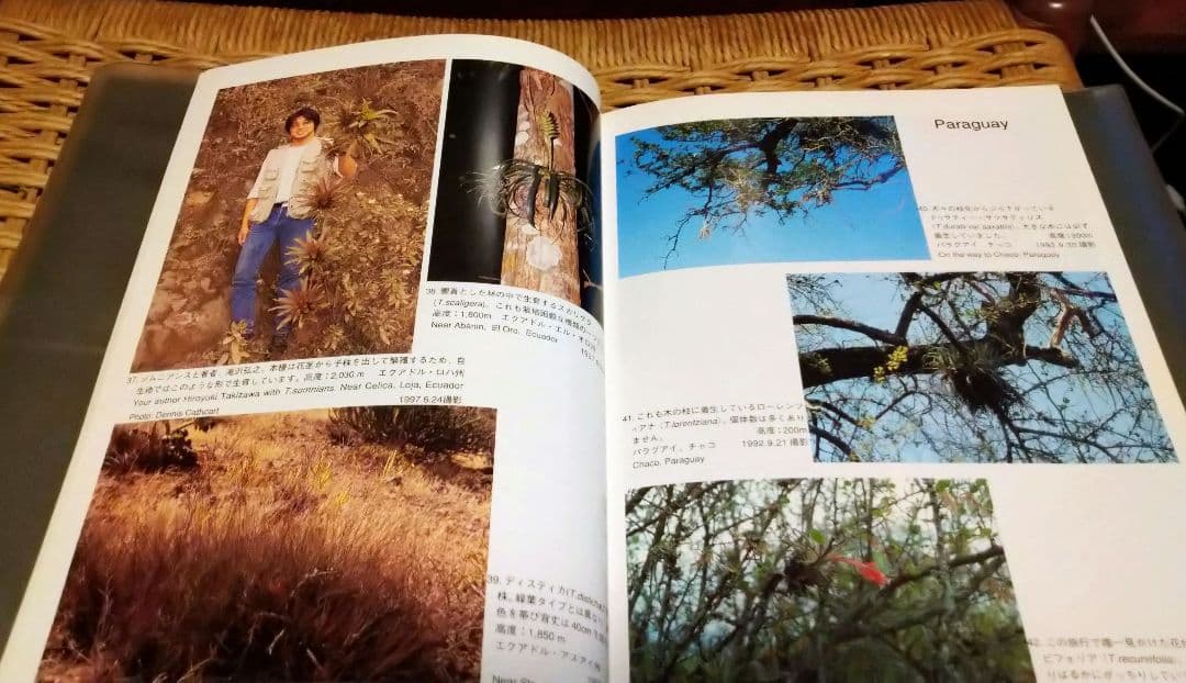 ティランジアハンドブック