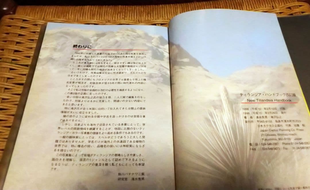 ティランジアハンドブック