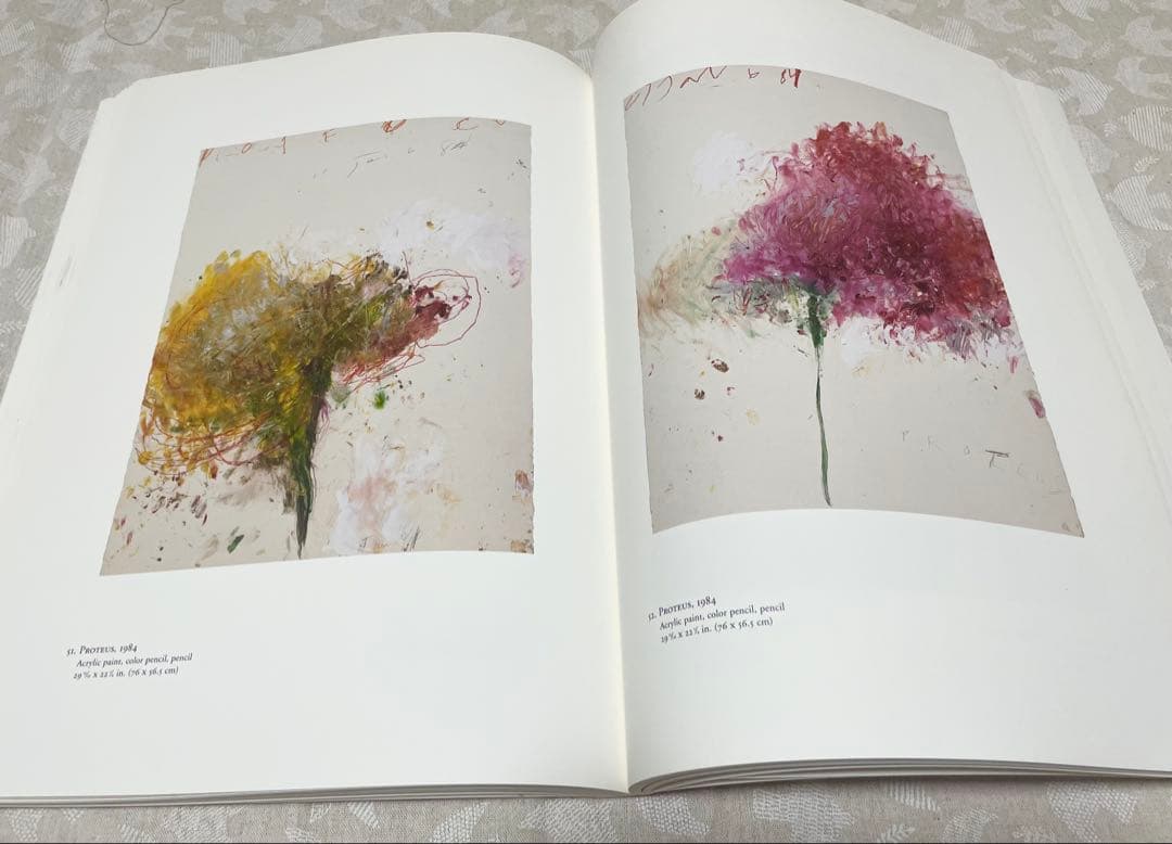 サイ・トゥオンブリー　紙の作品　50年の軌跡　展覧会　図録