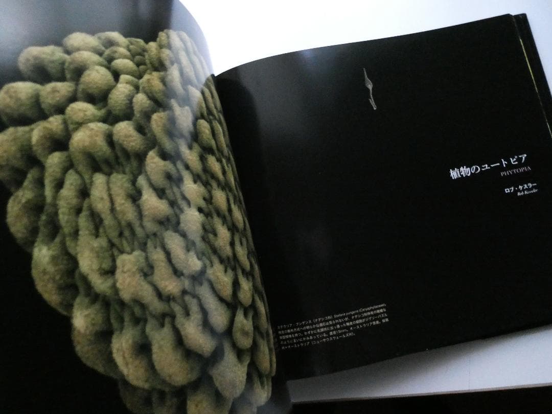 【中古】世界で一番美しい種子図鑑 : キュー王立植物園公認 ロブ・ケスラー