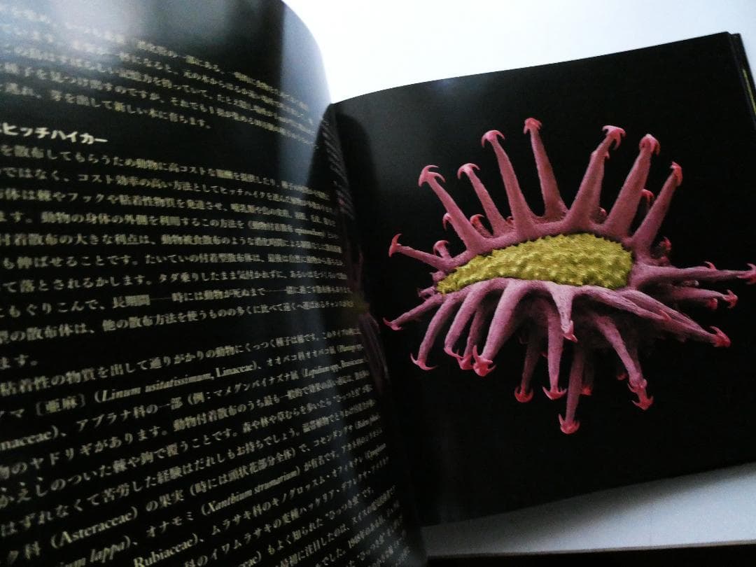 【中古】世界で一番美しい種子図鑑 : キュー王立植物園公認 ロブ・ケスラー