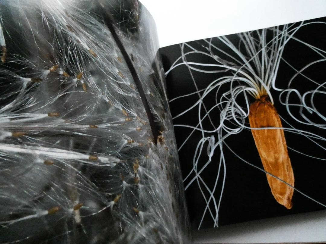 【中古】世界で一番美しい種子図鑑 : キュー王立植物園公認 ロブ・ケスラー