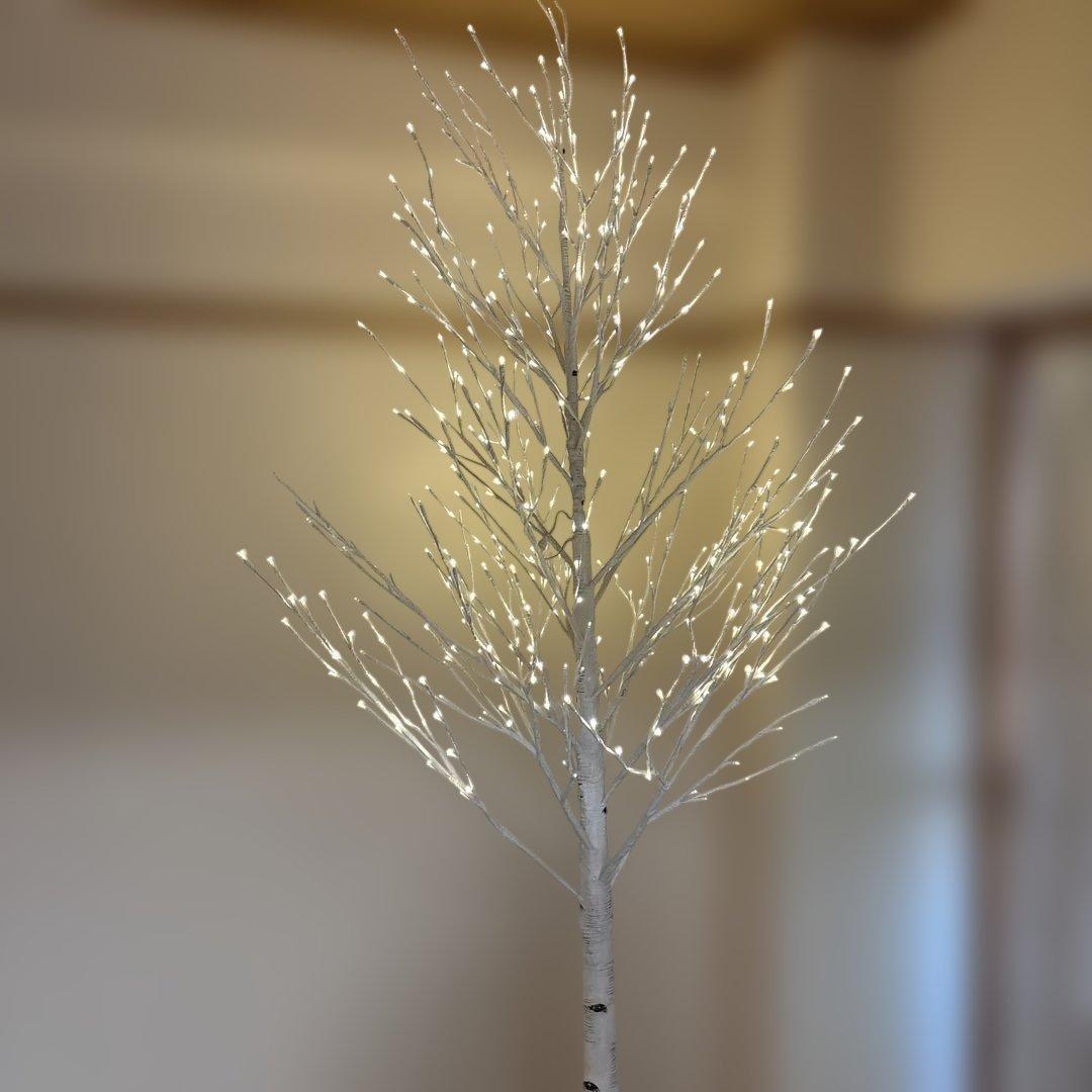 コストコ 白樺 ツリー