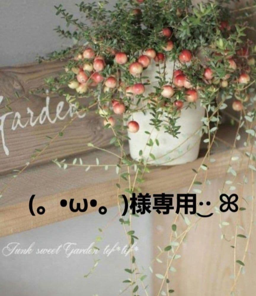 (。•ω•。)﻿ページです•*♬︎