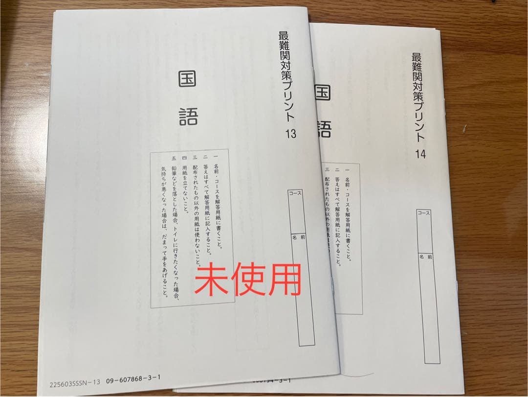 【サピックス6年生-国語特訓】