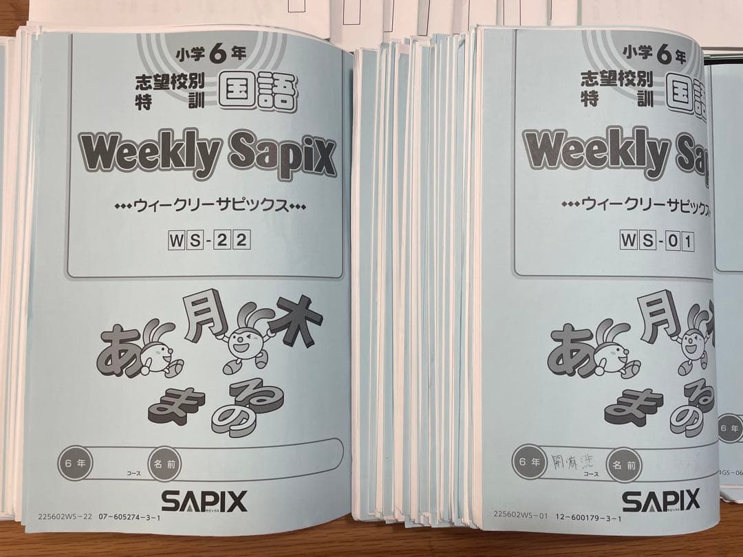 【サピックス6年生-国語特訓】
