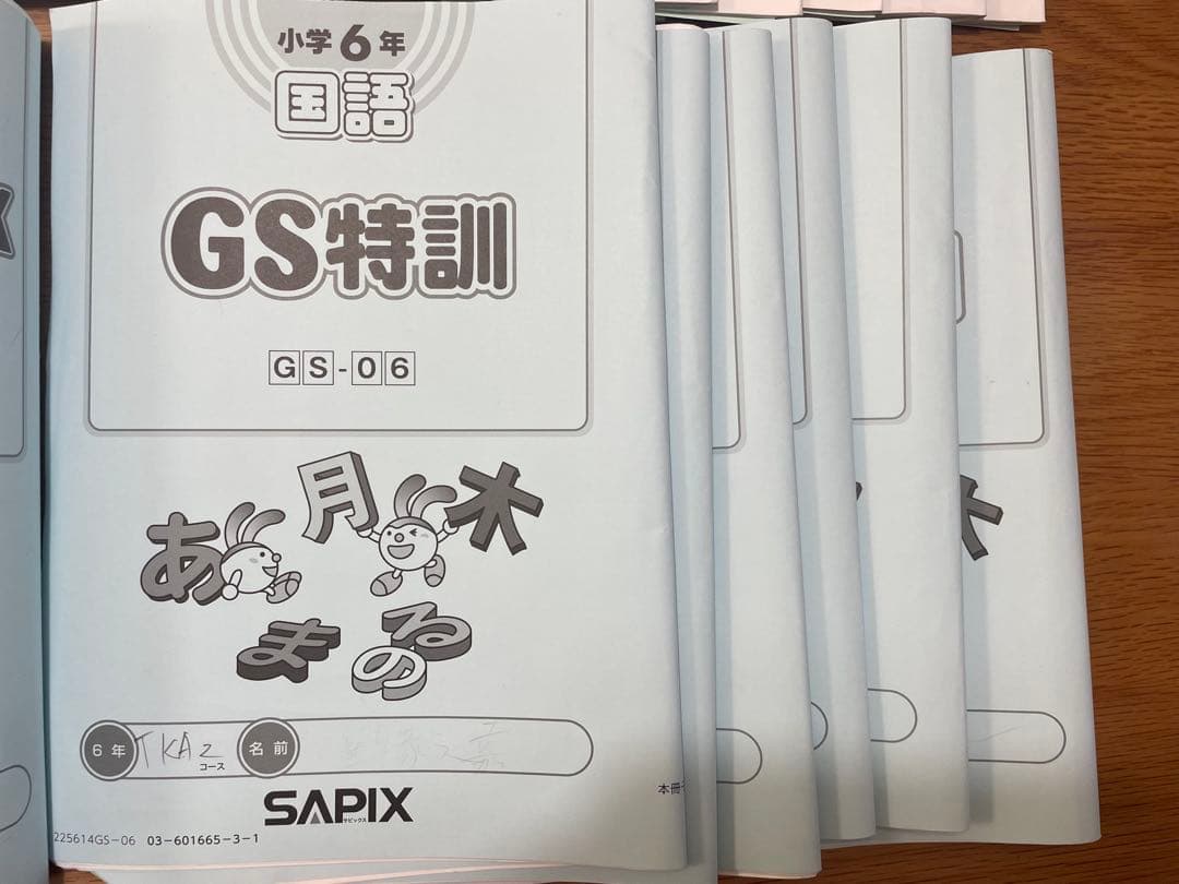【サピックス6年生-国語特訓】