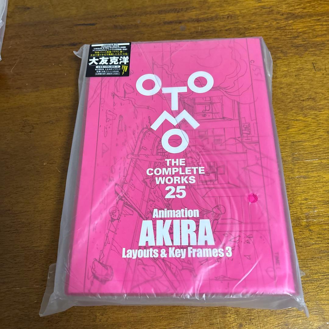 OTOMO THE COMPLETE WORKS 大友克洋全集 25