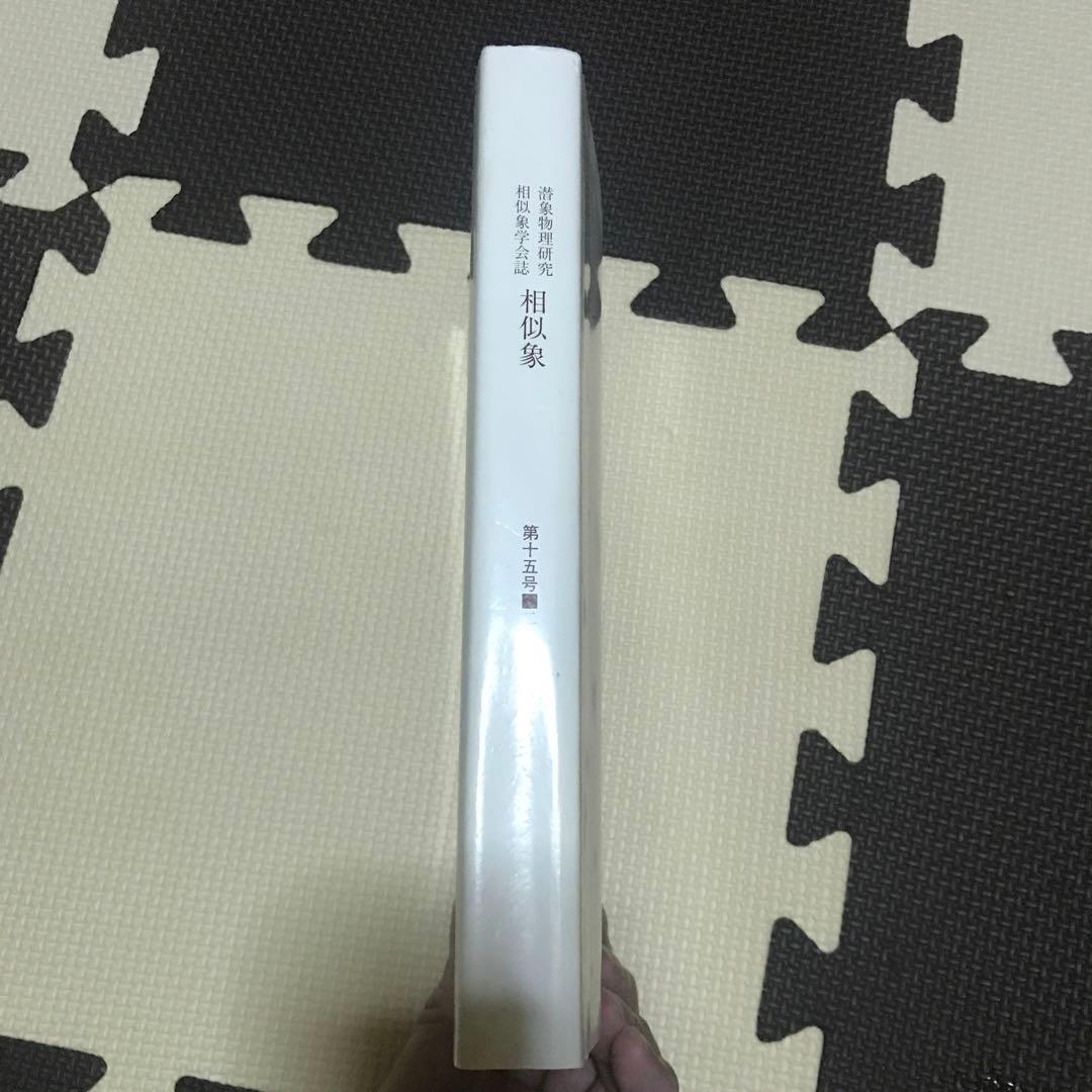 相似象学会誌　相似象　第１５号
