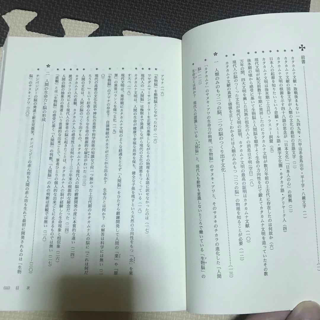 相似象学会誌　相似象　第１５号