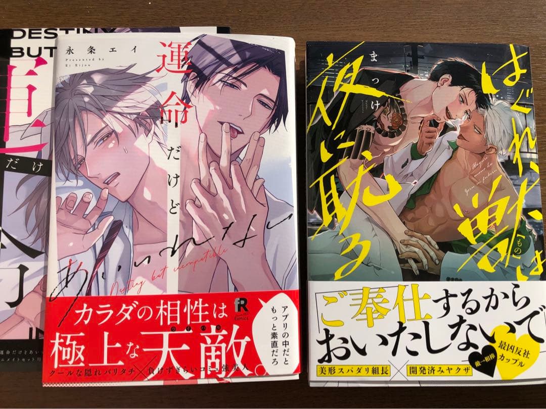 BLコミックまとめ⑤　※2冊〜