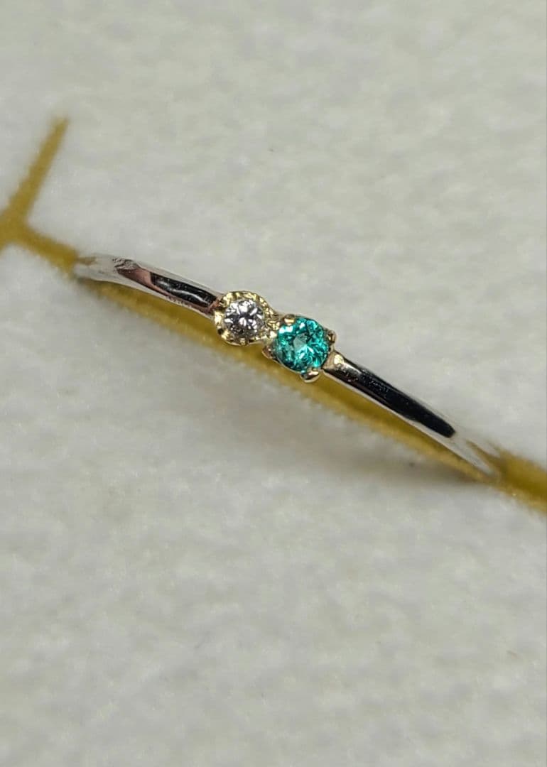 チコオーダーページ