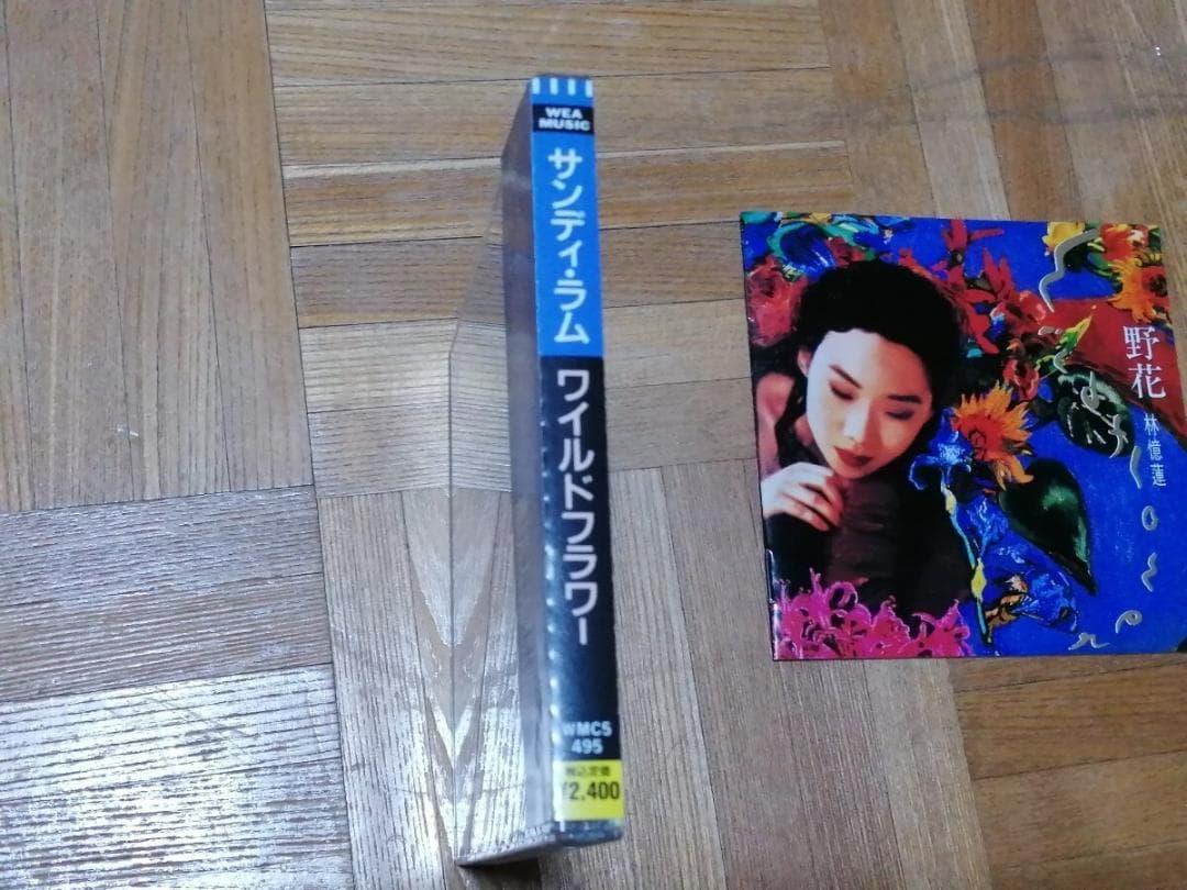 サンディ・ラム 林憶蓮 ワイルドフラワー 野花 WMC5-495