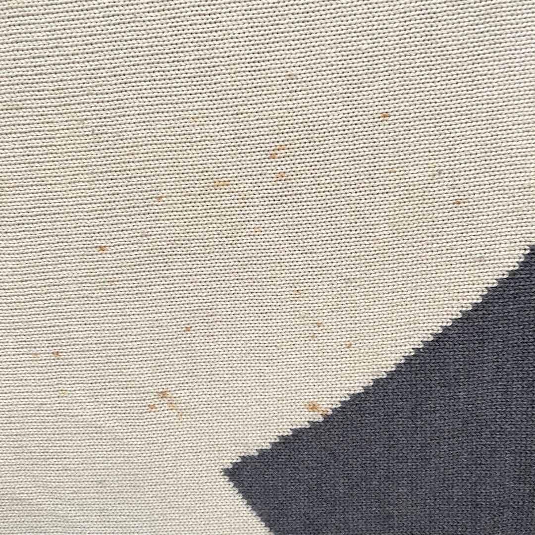 【訳あり】【レア】シャネル ダブルフェイス カシミア混 ロゴブランケット 毛布