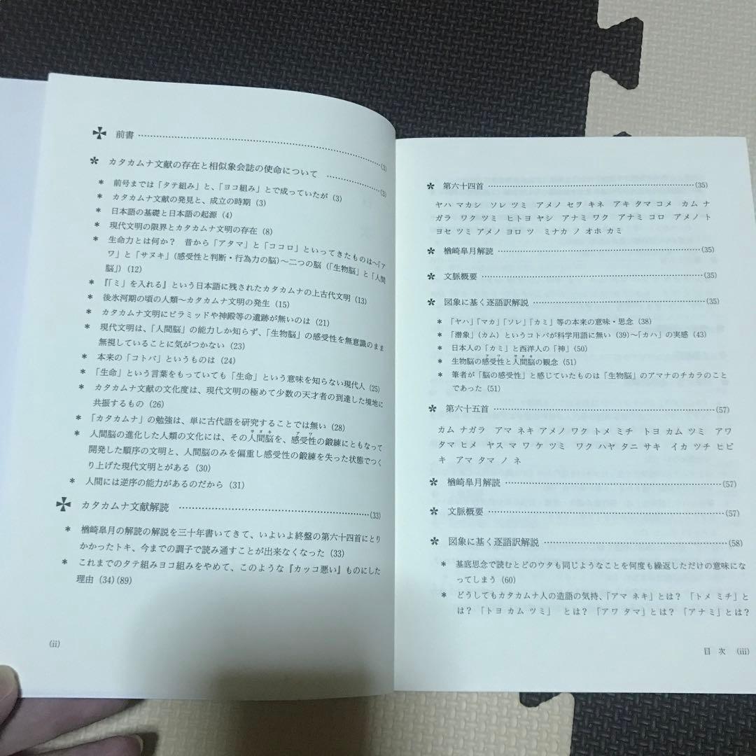 相似象学会誌　相似象　第１６号