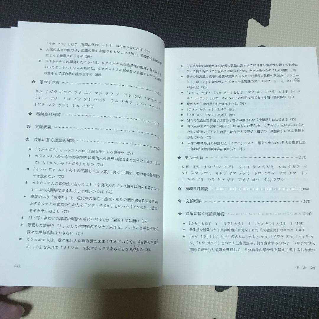 相似象学会誌　相似象　第１６号