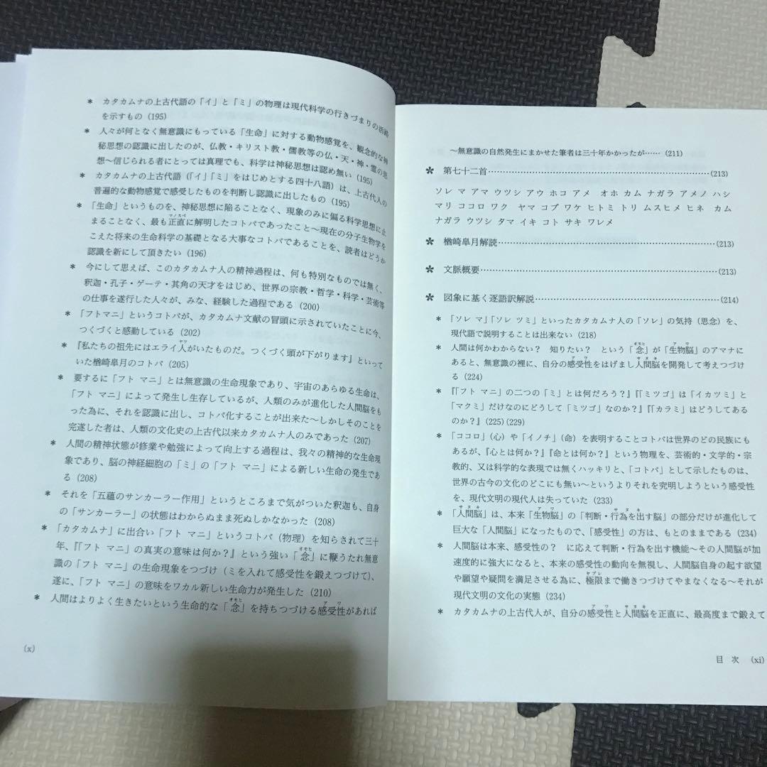 相似象学会誌　相似象　第１６号