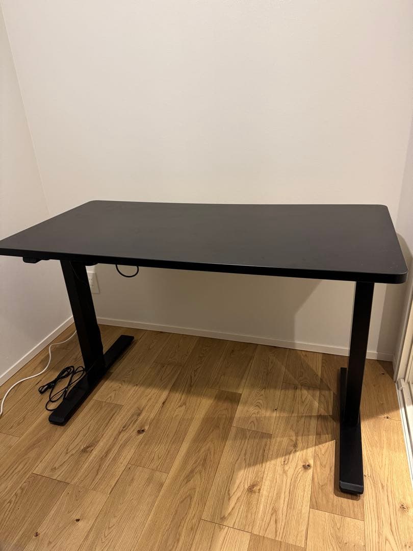 FLEXISPOT 電動式昇降デスク EG1 天板ブラック