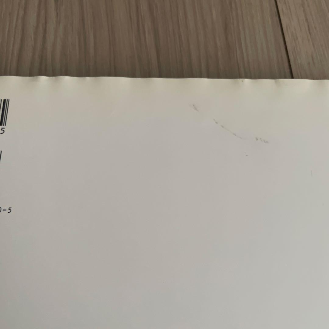 凛 村井美樹写真集　写真、DVD付き