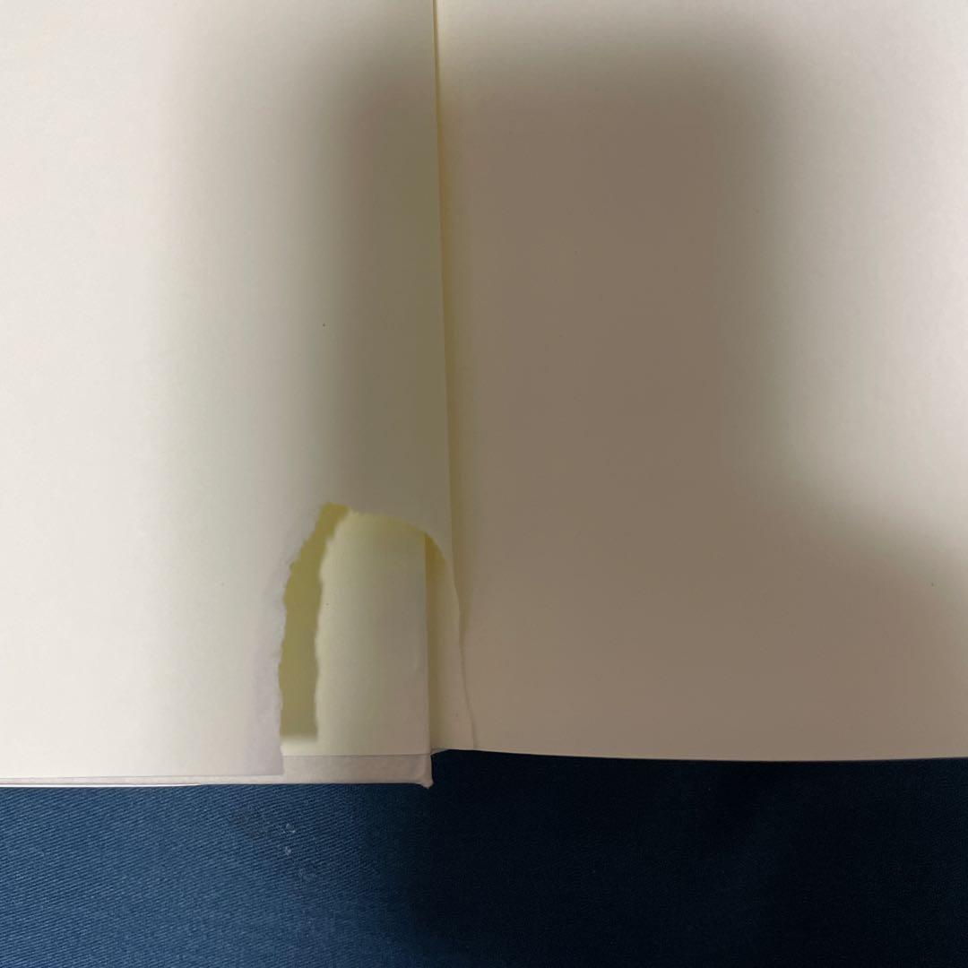 非正規滞在者と在留特別許可 : 移住者たちの過去・現在・未来