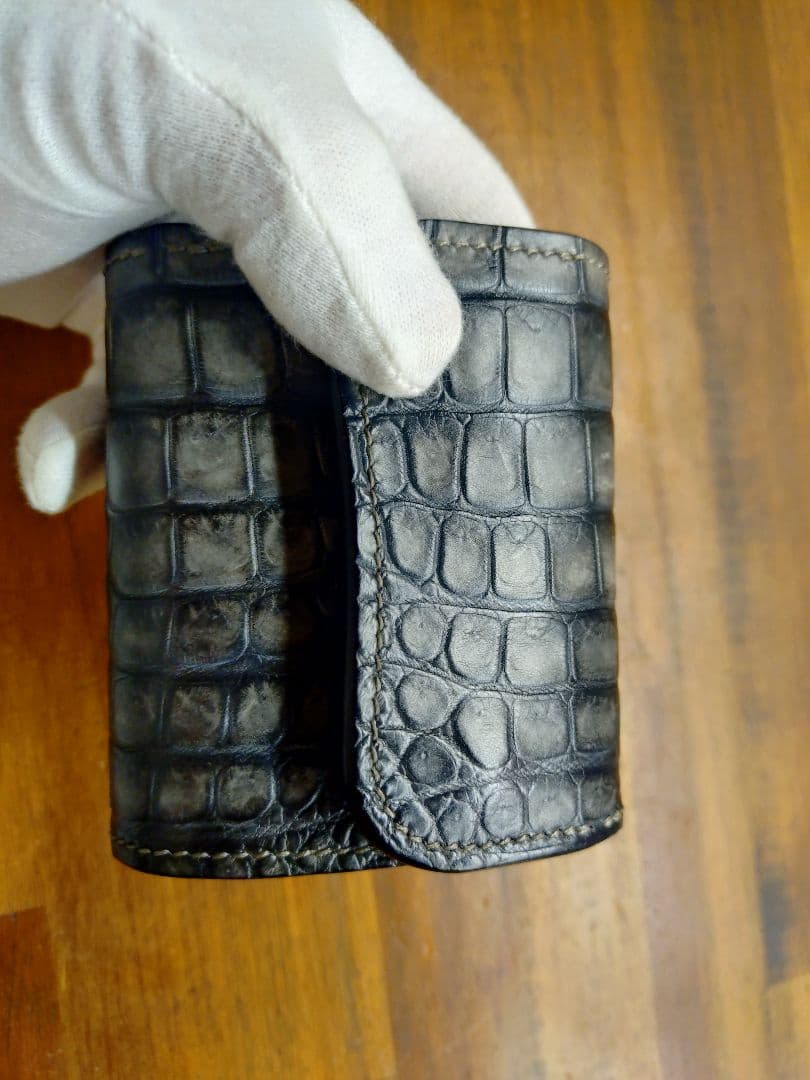 ワイルドスワンズ イーノミニ同型 ポロサス 墨染 ※本日限りの大特価です