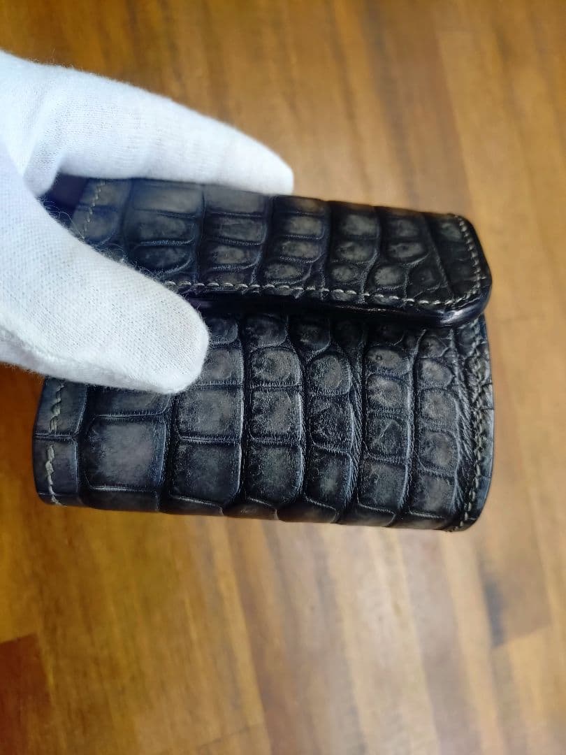 ワイルドスワンズ イーノミニ同型 ポロサス 墨染 ※本日限りの大特価です