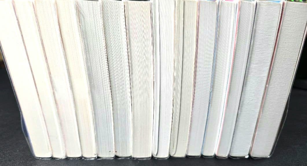 スタディサプリ 先生陣 ポラリス１４冊セット 英語 化学 物理 古文 現代文