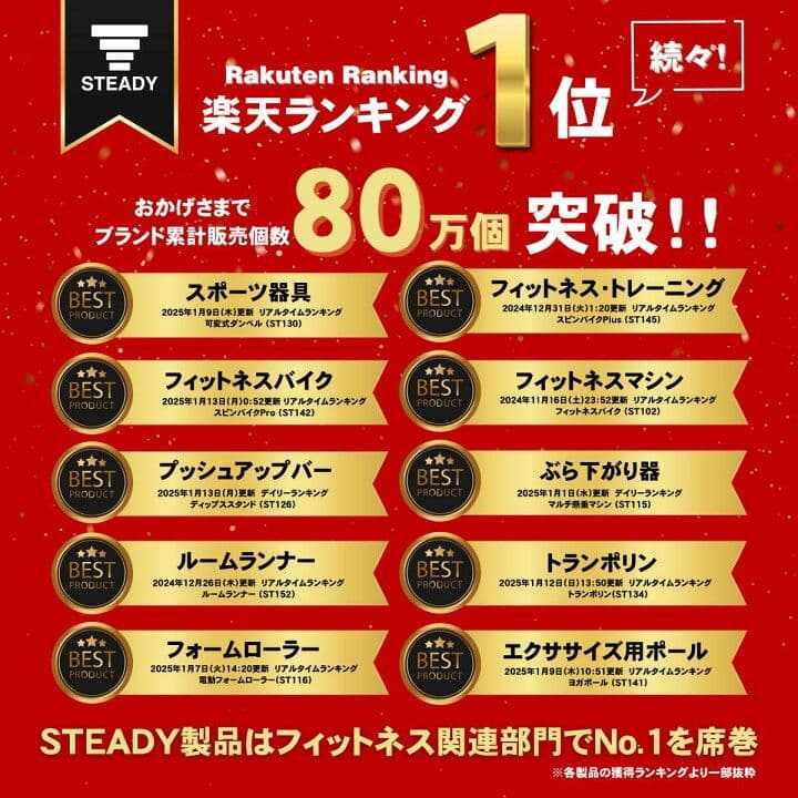【新品箱未開封】人気No.1STEADY マルチ懸垂マシン