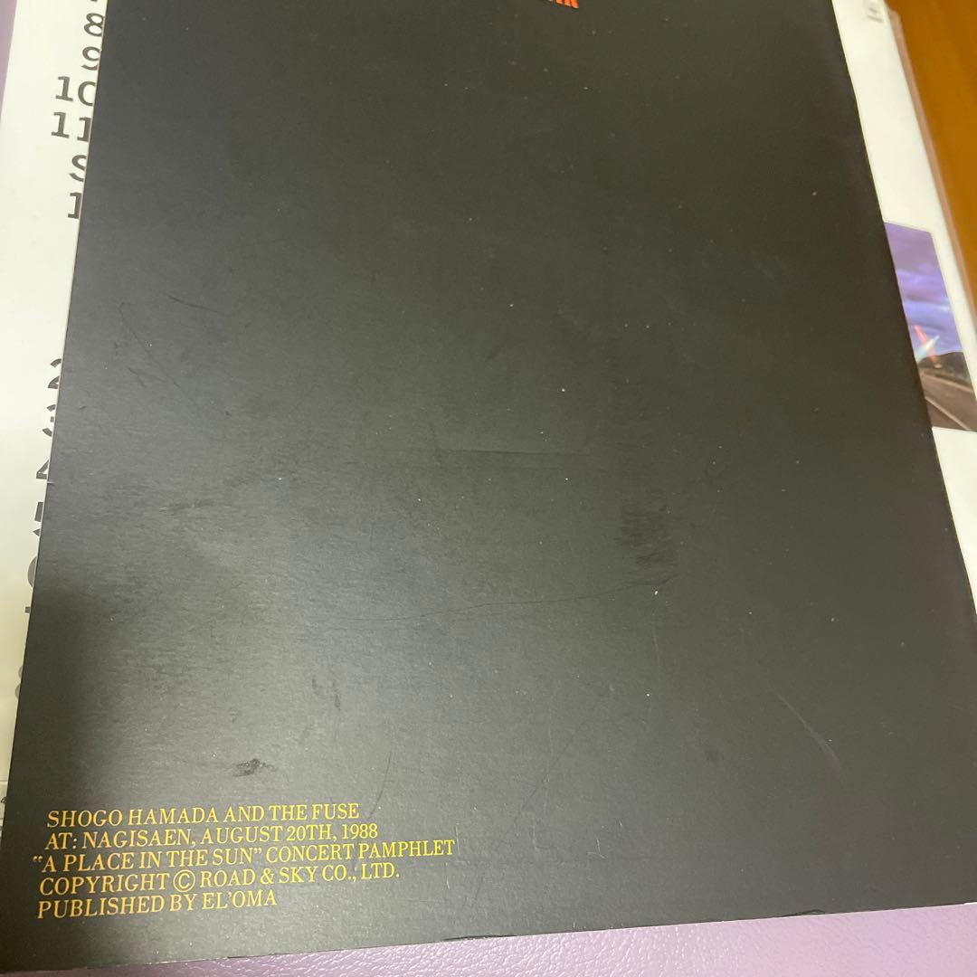 浜田省吾　渚園1988 A PLACE IN THE SUN パンフレットとLD