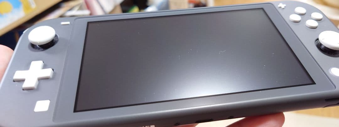 Nintendo Switch Lite グレー 本体（箱、付属品有り）